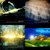 Adrian Scharfetter thumbnail