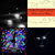 Daniel Schmidt thumbnail