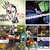 Gregory Norwood thumbnail