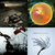 David Clarke thumbnail