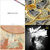 Zachary H Migdal thumbnail