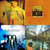 mark gamble thumbnail