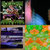 Alexander Petty thumbnail