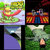 Noah Billings thumbnail