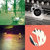 DAVID LEWIS thumbnail
