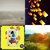 Justin Burkholder thumbnail