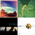 Brent Appleton thumbnail