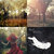 Mathieu PIERROT thumbnail
