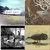 Hieronymus Mitchell thumbnail