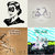 Christopher Stoneham thumbnail