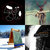 Alex Chally thumbnail