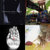 wb3 thumbnail