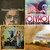 Brett Bielanski thumbnail