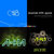 Daniel Addington thumbnail