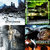 Stevie Howlin thumbnail