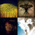 thibaut jeanson thumbnail