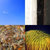 Adrian Giddings thumbnail