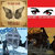 John Kokkonakis thumbnail