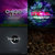 Craze thumbnail