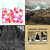 Andrew McCulloch thumbnail