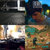 Michael Potapov thumbnail