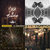 ashvin de Vos thumbnail