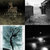 edward bianchi thumbnail