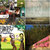 Terri McCloskey thumbnail