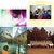 Leanne Butkovic thumbnail