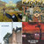 Joseph Grice thumbnail