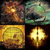 Steven Waddell thumbnail