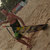 Antonio Soldati thumbnail