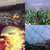quaderi thumbnail