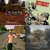 Matt Hately thumbnail