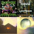 Divya Gillespie thumbnail