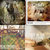 Todd Yates thumbnail
