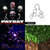 Jeremy Elder thumbnail
