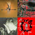 Stewart Rayner thumbnail
