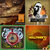 chris watkins thumbnail