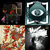 Allister Braithwaite thumbnail