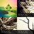 Nadav Gerber thumbnail