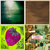 Bill Cole thumbnail