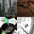 alicia listens thumbnail