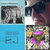 Nicholas Revere thumbnail