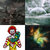 Tom Montgomery thumbnail