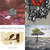 Tom Loveday thumbnail