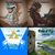 gregory coates thumbnail