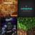 Will Davis thumbnail