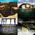Rick Rosinski thumbnail