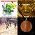 Michael Heger thumbnail